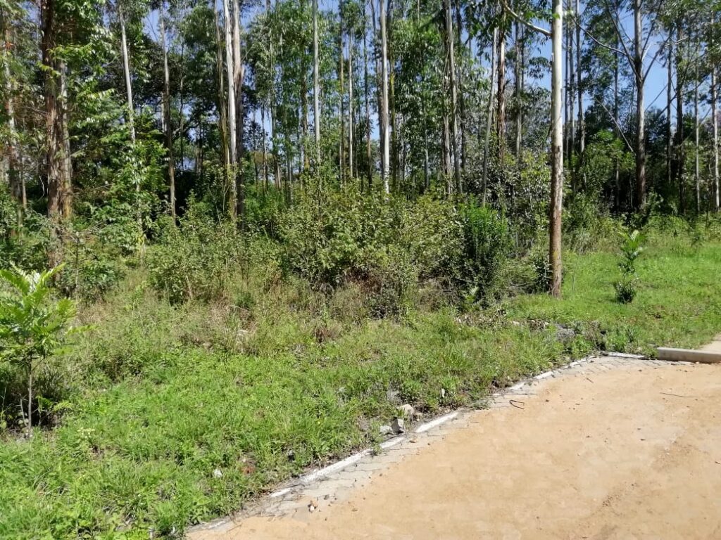 Lands for sale in KITISURU