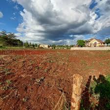 1 Acre in Ridgeways_Windsor Area for sale four ways