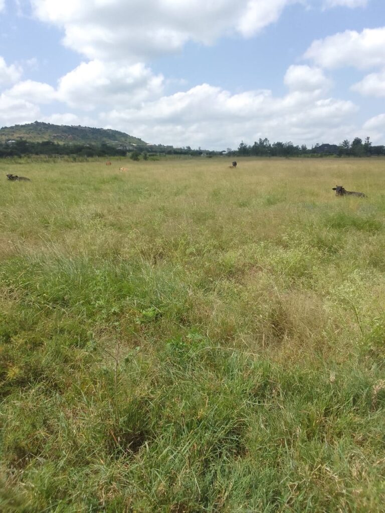 Westlands, Touching Muthithi Road Near GTC — Prime 0.25Acre Commercial Plot For Joint Venture Partnership.