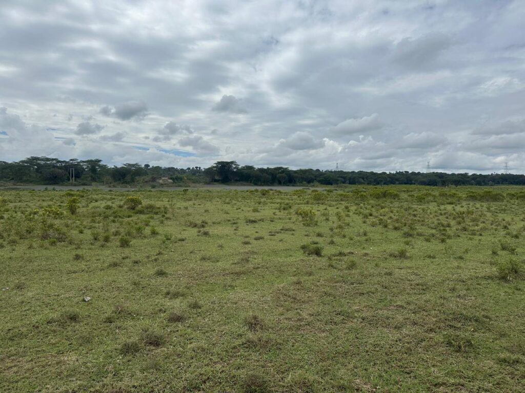 NAIVASHA: Prime land for sale in Naivasha, 500 meters off Moi South Lake Road.