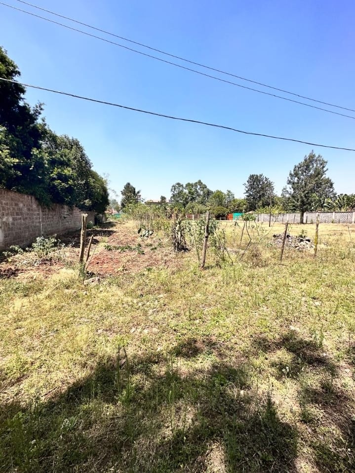 Safari Park – Thika Road:  ½ acre  plot available for sale.