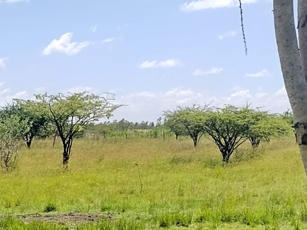 MAKUYU MURANGA 60 ACRES LAND ON SALE