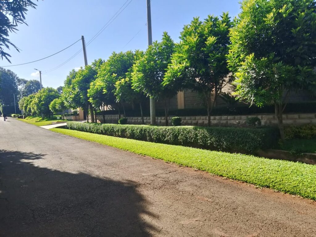 KAHAWA WEST: OFF KIMITI ROAD .