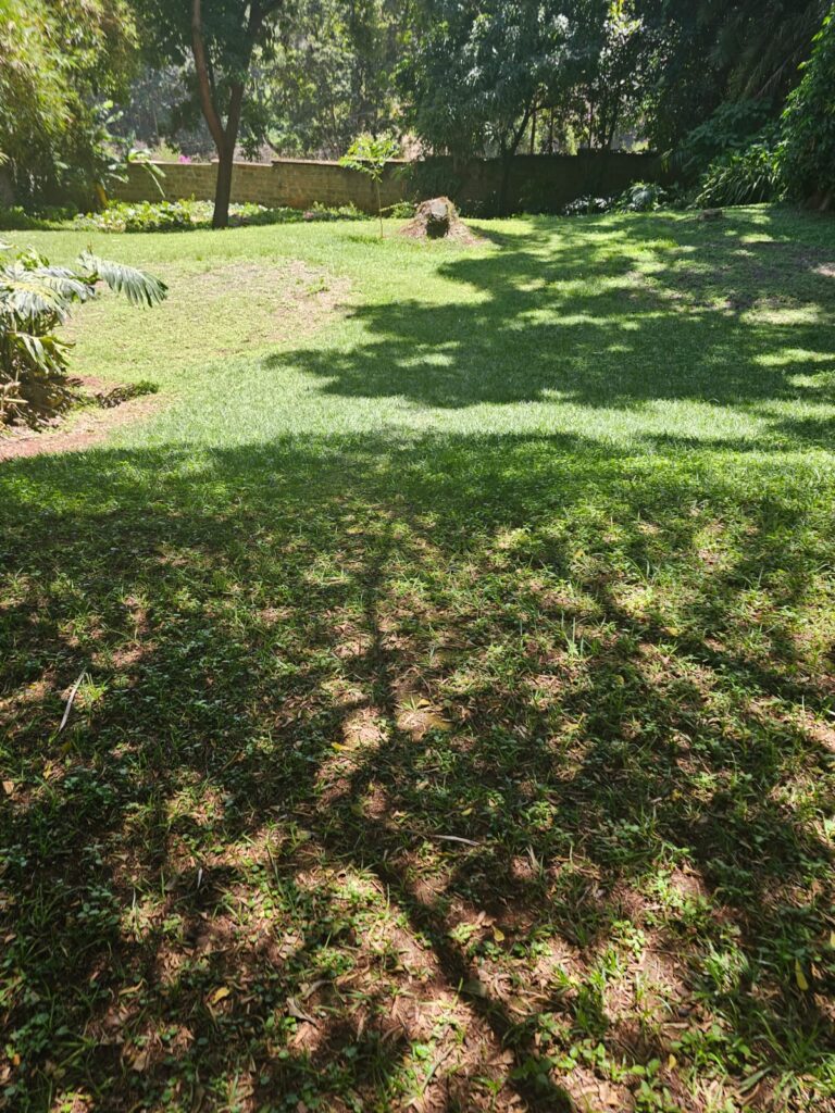 Magnificent 1.178 acre plot at Old Muthaiga.