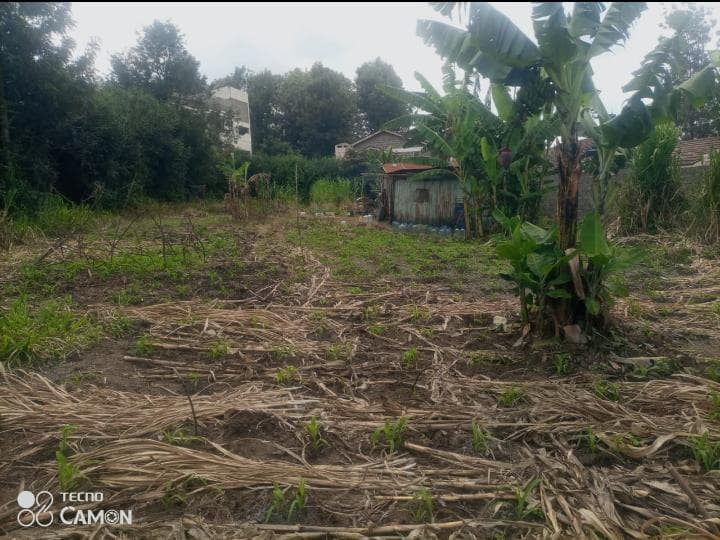 NGONG -VET 1/4 ACRE PLOT FOR SALE