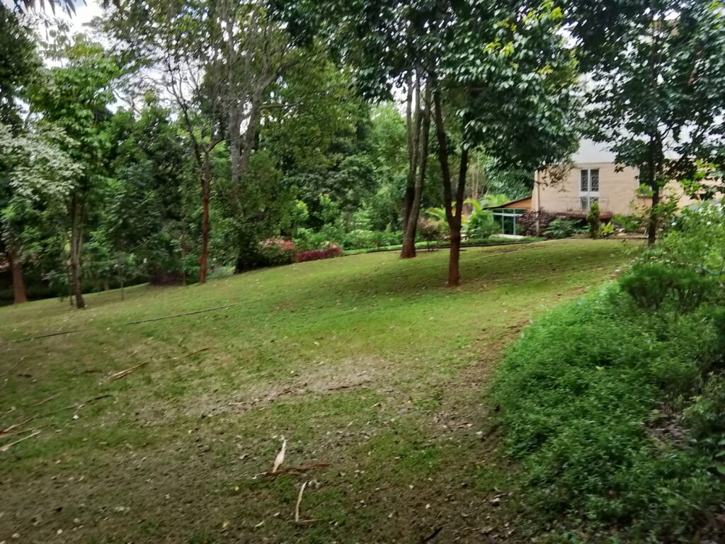 Plot on sale at Kahawa Sukari