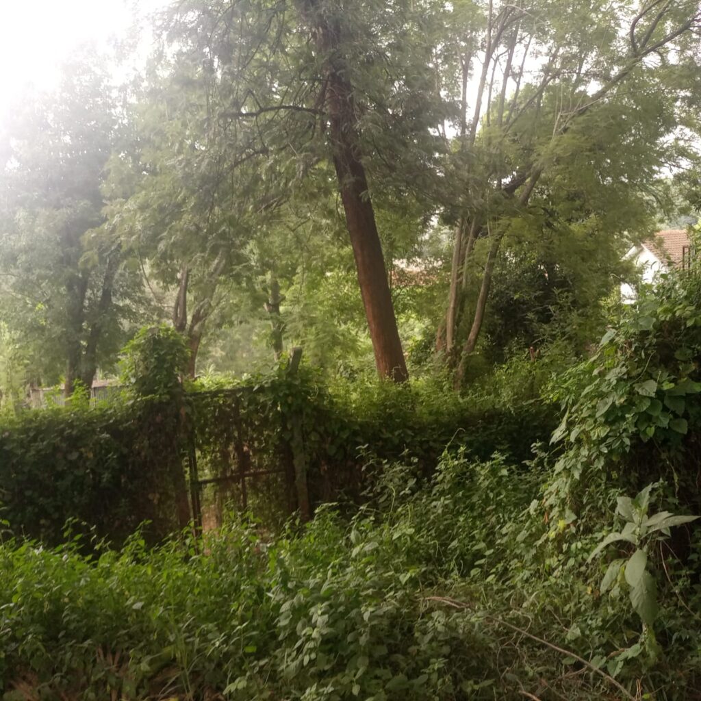 LAND FOR SALE IN WAMUNYU