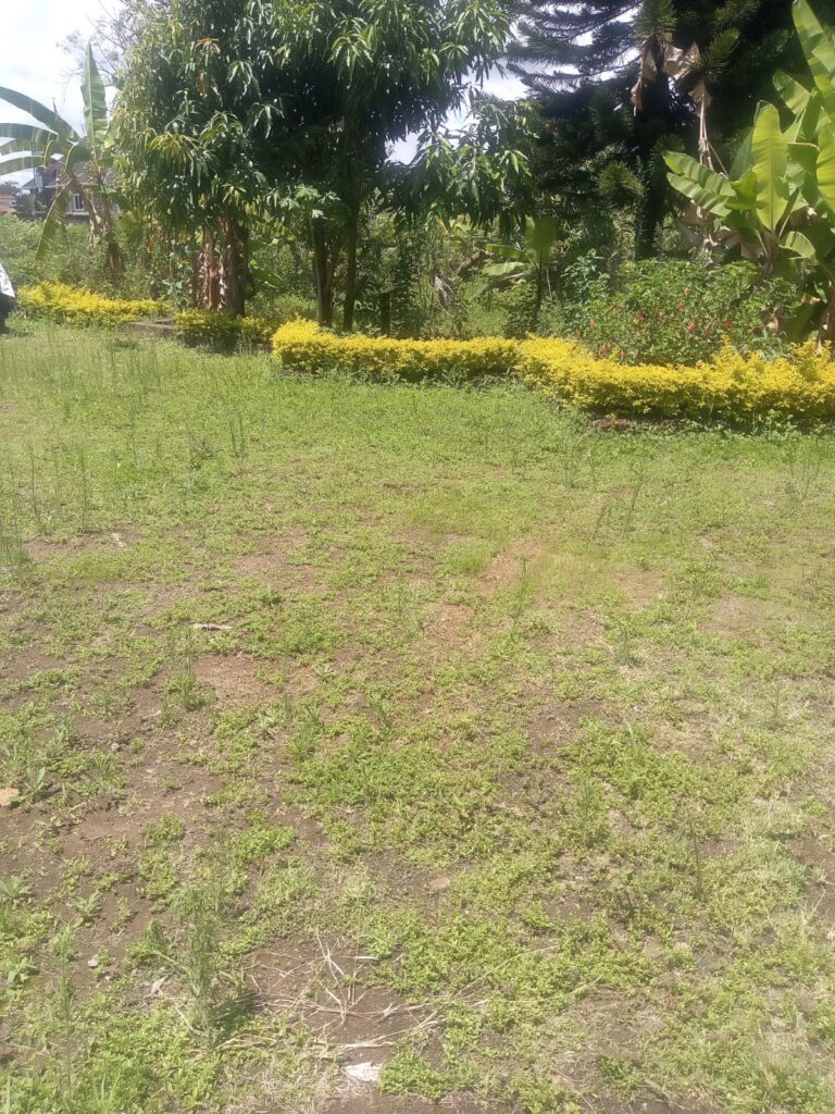 PRIME LAND-NGONG ROAD