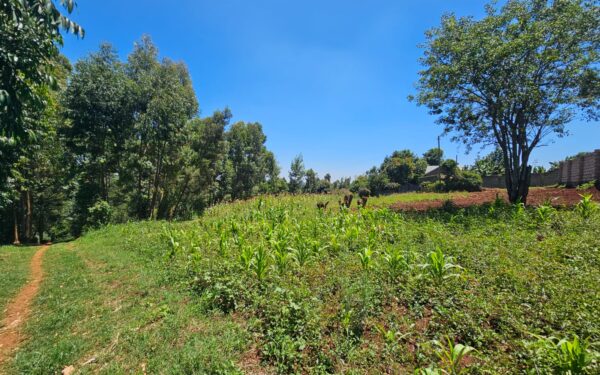 TOUCHING WAIYAKI WAY NAIROBI PRIME PLOT