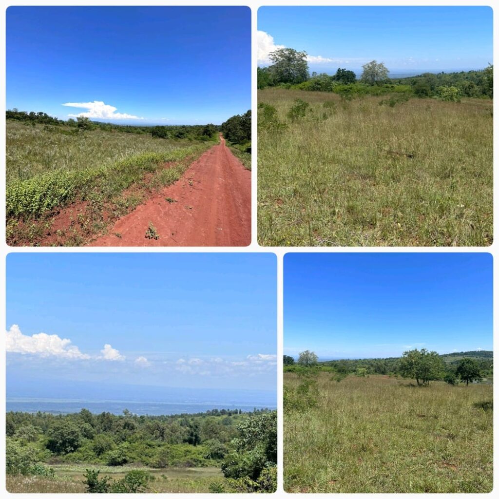 OFFER FOR 415 ACRES PRIME LAND