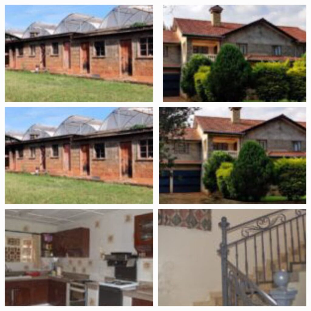 3 Acres Developed Property For Sale