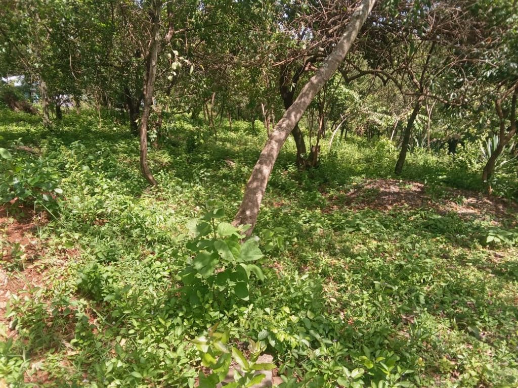Prime land for sale