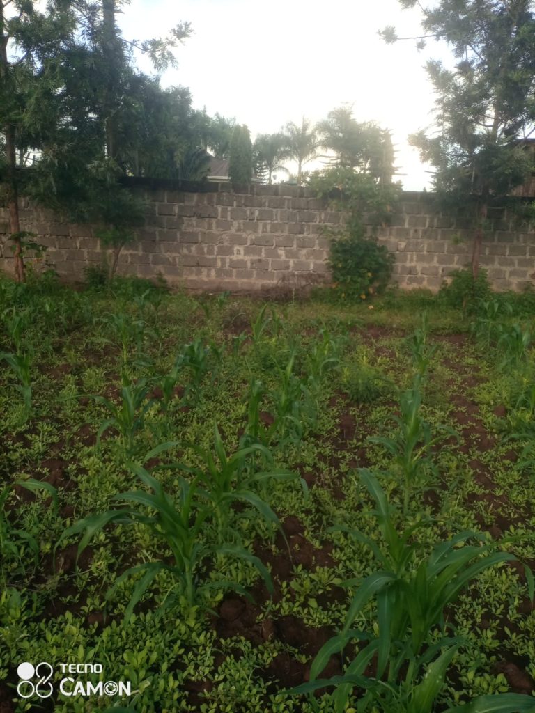 PRIME 2 ACRES FOR QUICK SALE