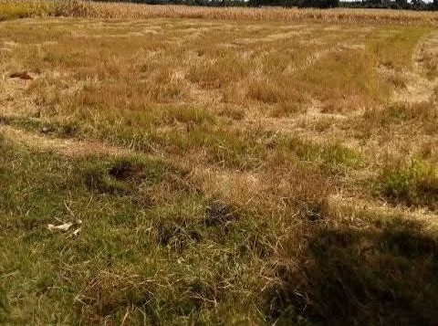 0.75 acres plot for sale