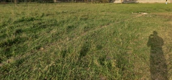 1acre plot for sale